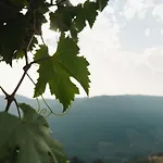 别墅 Apedeceo Belesar Villa, Ribeira Sacra, Galicia 钱塔达