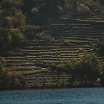 Apedeceo Belesar Villa, Ribeira Sacra, Galicia 别墅