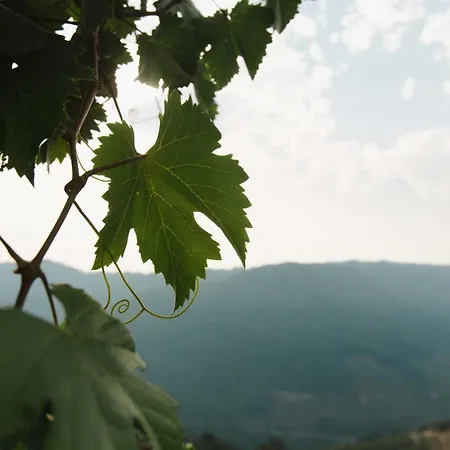 빌라 Apedeceo Belesar Villa, Ribeira Sacra, Galicia 찬타다