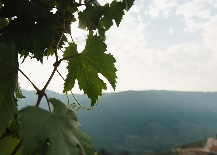 Villa Apedeceo Belesar Villa, Ribeira Sacra, Galicia Chantada